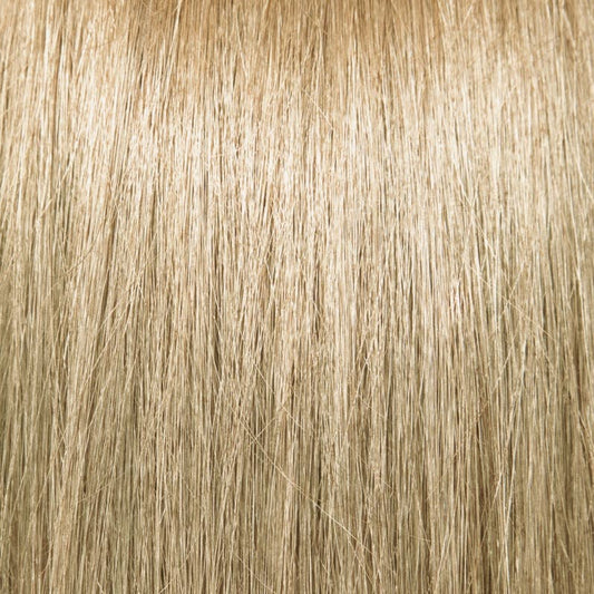 Pravana Chromasilk Permanent Creme Hair Color 90ml - 10N/10N Extra Light Blonde
