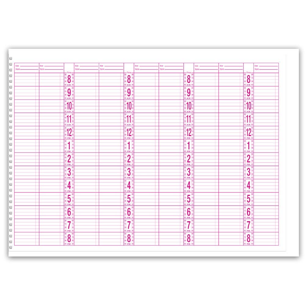 Dateline Professional 9 Column Appointment Book 144109