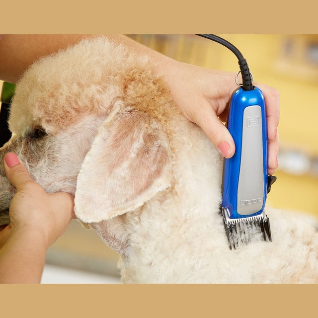 Andis EasyClip ULTRA Pet Clipper Kit – Medium-Duty, Adjustable Blade, 10-Piece Set for Light Grooming & Touch-Ups RACA