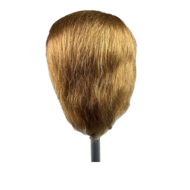 Barry SSS 100% Human Hair Mannequin Head Male with Beard 10" Hair / 5" Beard