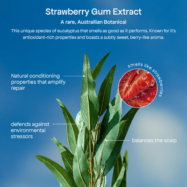 Bondi Boost HG Heat Protect Spray with Australian Strawberry Gum Extract 125ml