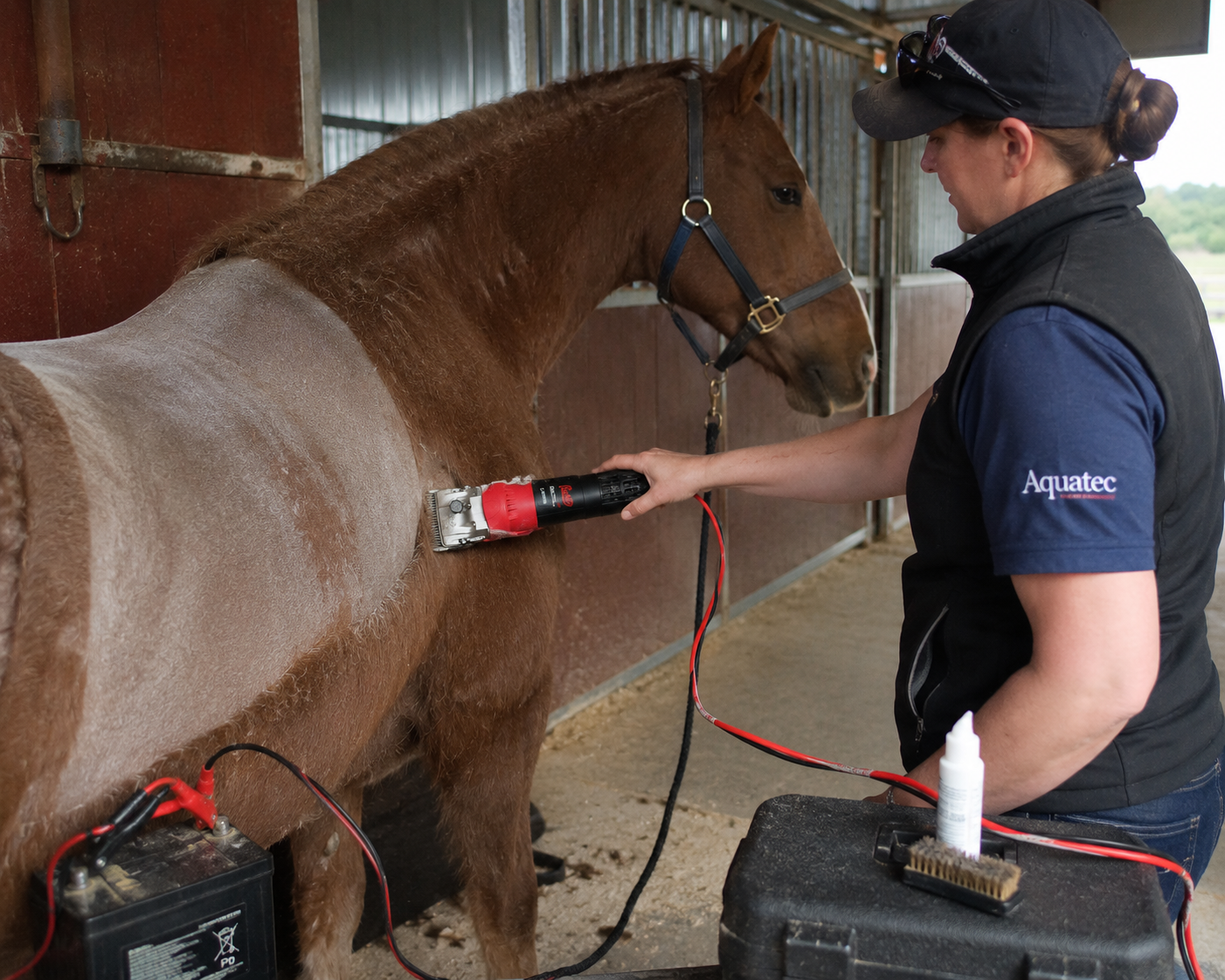 Lister Laser 12V Heavy Duty Horse, Cattle & Large Animal Clipper