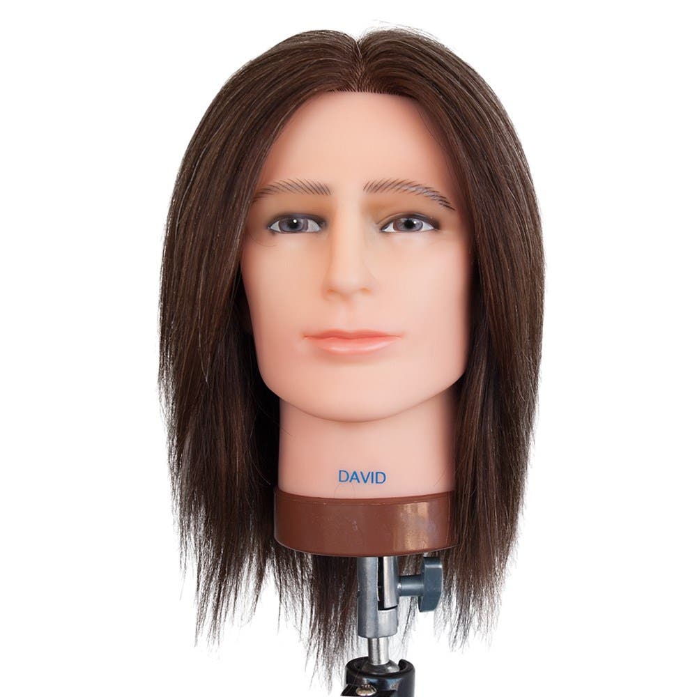 Dateline Professional David Mannequin Dark Brown