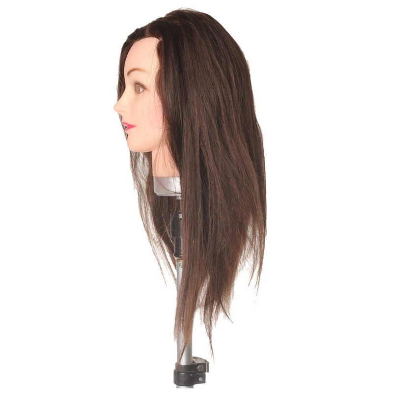 Dateline Professional Mannequin Long Mixed Fibre Brown - Amanda 20"