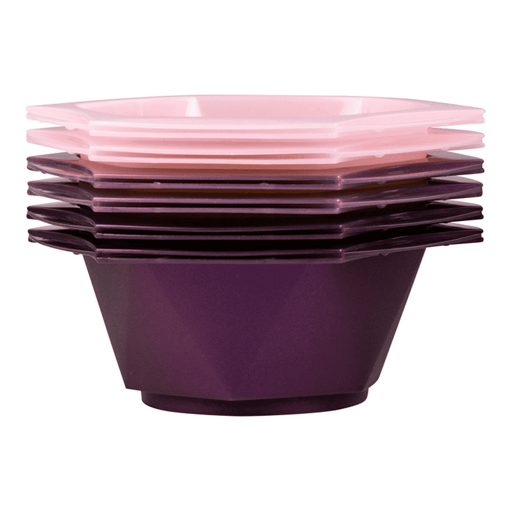 Hi Lift Professional Colour Master Pearl 6 pce Tint Bowl Set
