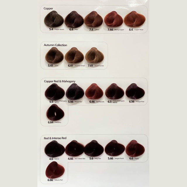 Hi Lift True Colour swatch card with copper, autumn, mahogany and intense red hair shades