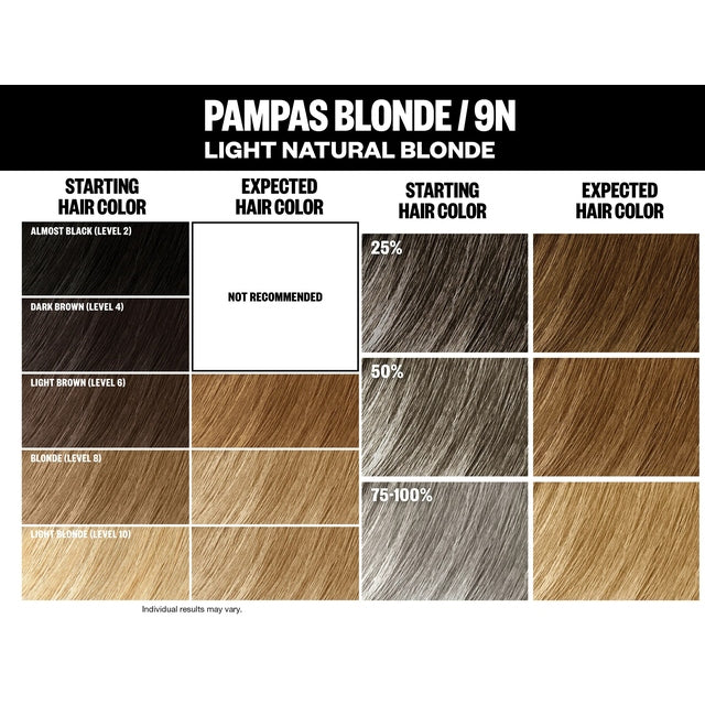 IGK Permanent Hair Color Kit - Pampas Blonde 9N Light Natural Blonde