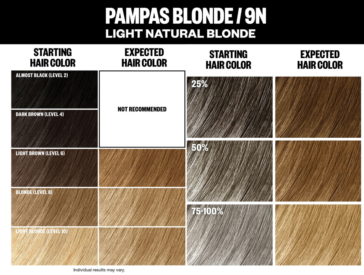 IGK Permanent Hair Color Kit - Pampas Blonde 9N (Light Natural Blonde)