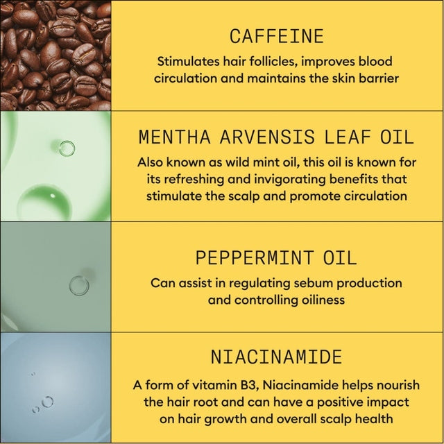 Nioxin System 1 Scalp Care + Hair Thickening System TRIO Kit 300ml+300ml+100ml *NEW