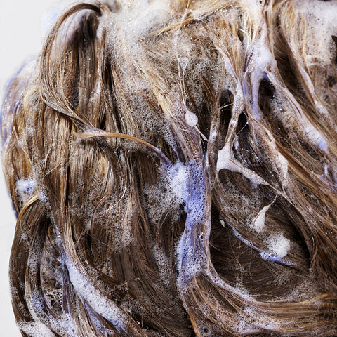 Close-up of brown hair with soap suds on a white background