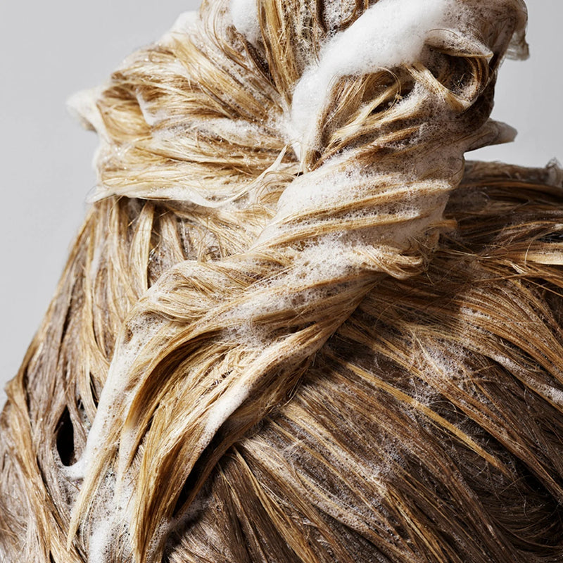 Restore Your Mane to All Its Magnificence