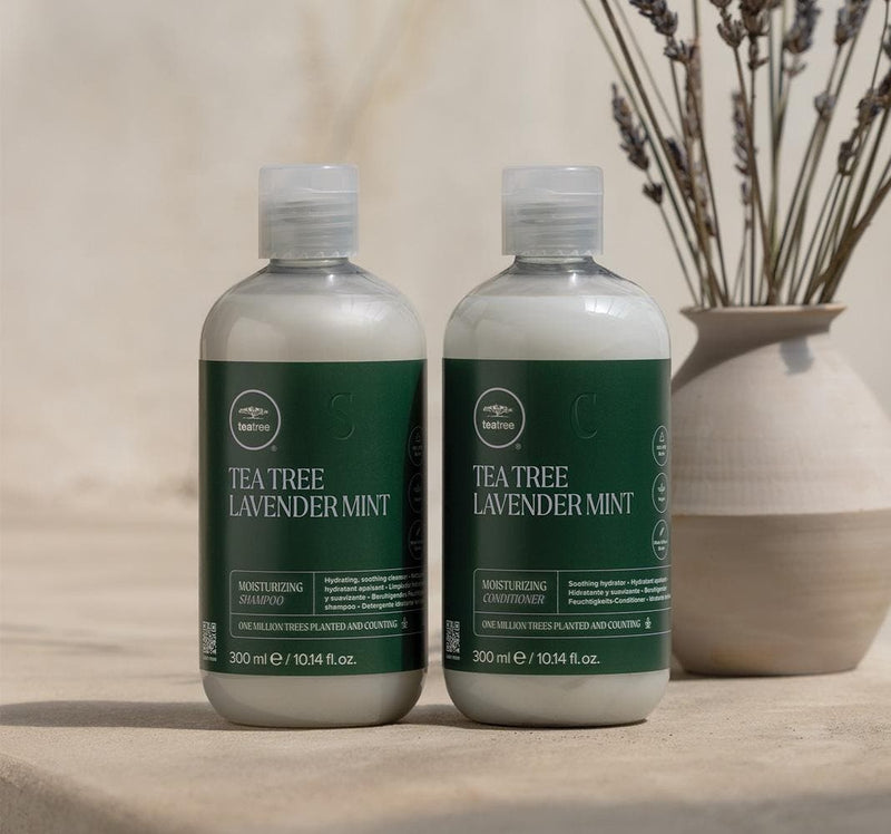 Paul Mitchell Tea Tree Lavender Mint Duo Pack