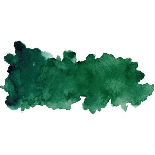 Punky Colour 3-in-1 Color-Depositing Shampoo + Conditioner - GREENGARIOUS