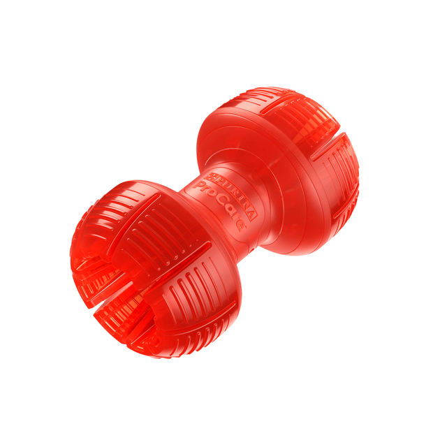 Purina ProCare Dental Dumbell