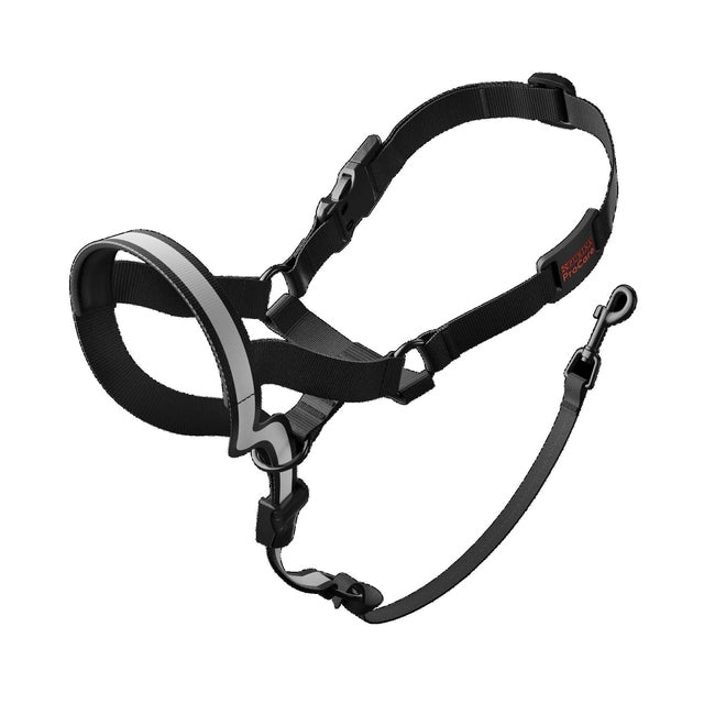 Purina ProCare Dog Head Collar