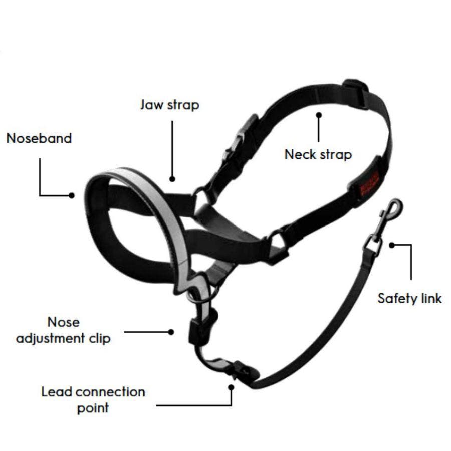 Purina ProCare Dog Head Collar