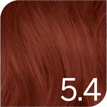Revlon Revlonissimo Colorsmetique 60ml 5.4 Light Copper Brown