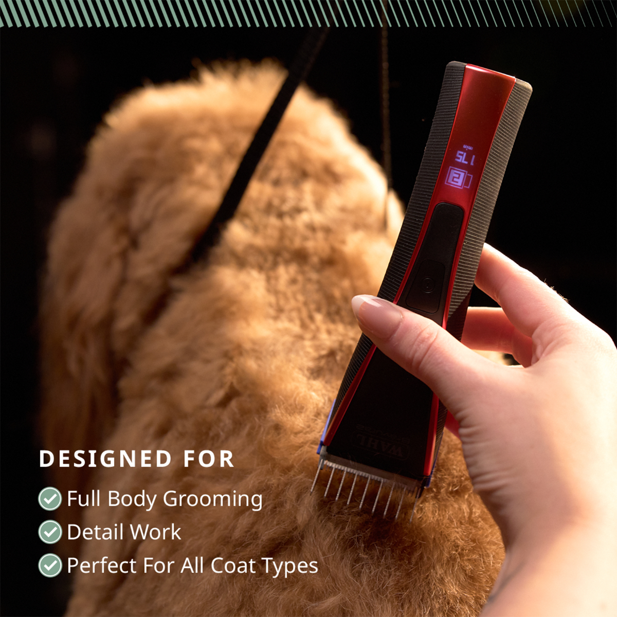 Hand using Wahl Bravura 2 clipper to groom a dog, text notes full body and detail work