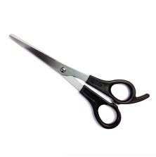 Wahl Home Haircut Hairdressing Scissors 6" WA3014-300