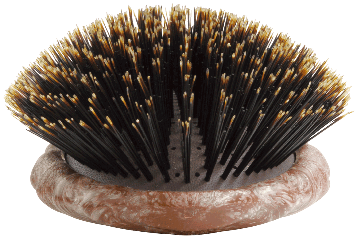 Y.S.Park Luster Air Cushion Eco Styler Soft Cushion Beetle Hairbrush - Pure Boar Bristle YS-68AS1